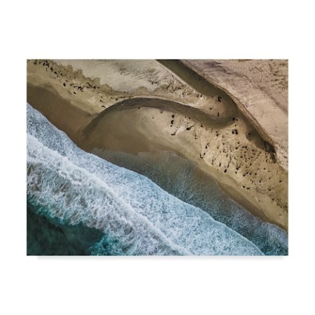 Rob Darby 'Big Sur Aerial' Canvas Art,14x19